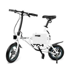E bike